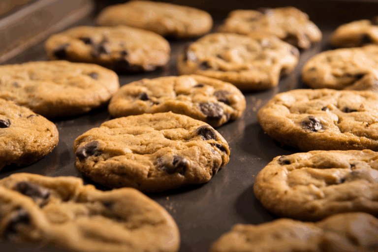 Dietitian Cozy Fall Recipe - Pumkin Chocolate Chip Cookies